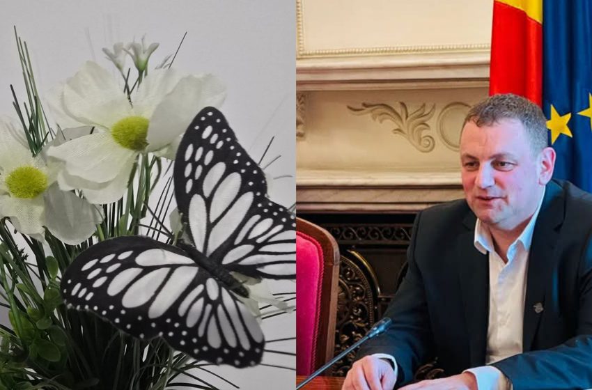  Senatorul Cristian Nicula: Primăvara – un nou început plin de speranță și armonie