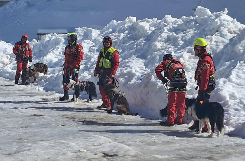  Succes la stagiul național Salvamont: echipa canină din Bistrița-Năsăud, brevetată pentru intervenții
