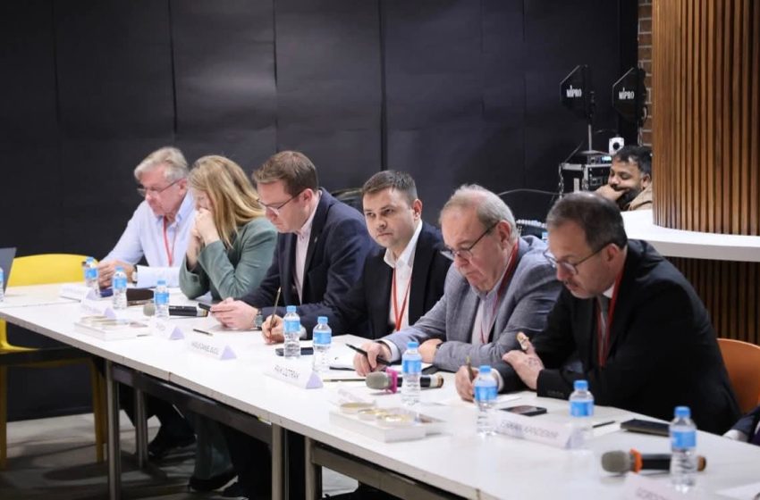  Diplomație la nivel înalt: deputatul Daniel Suciu, în prima delegație parlamentară NATO invitată în India. FOTO