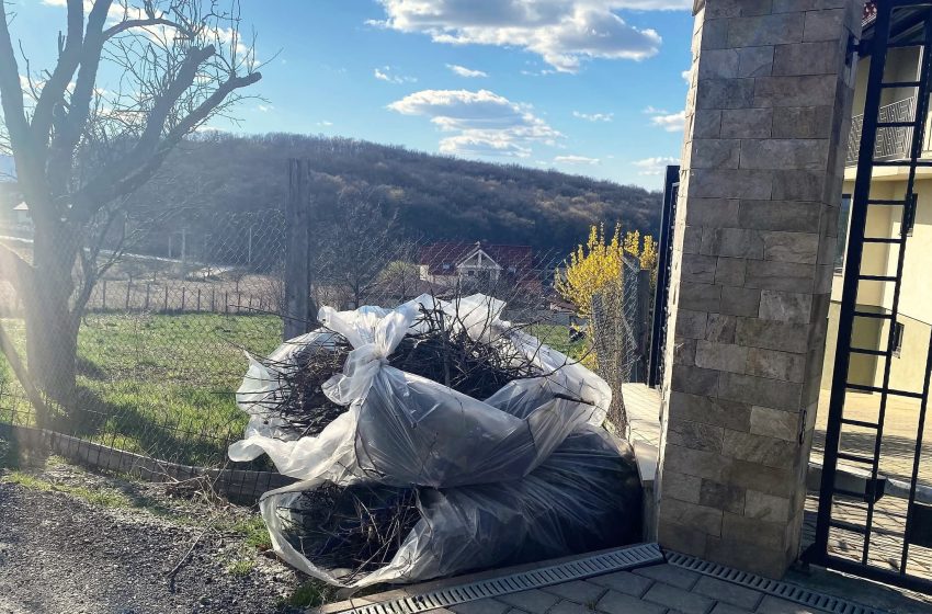  În perioada 18-24 martie, campanie de colectare a DEȘEURILOR VEGETALE în toate localitățile din județul nostru. FOTO