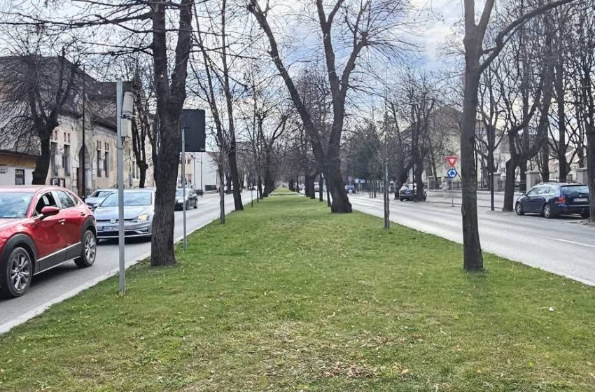  Intervenții de primăvară în Bistrița: spațiile verzi, în plin proces de întreținere. FOTO