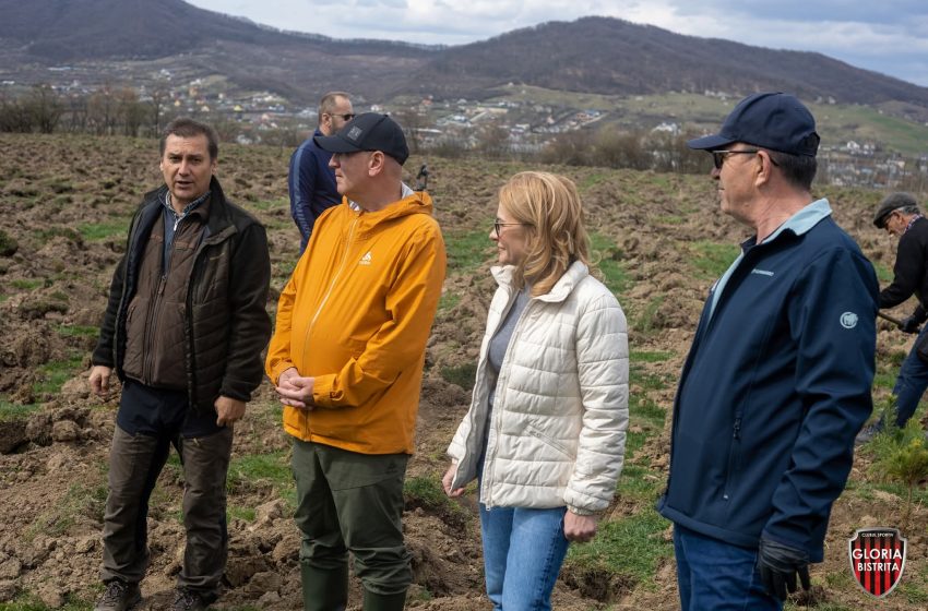  Pădure urbană în devenire: 4.500 de puieți plantați la Sărata, prin efortul comunității. FOTO