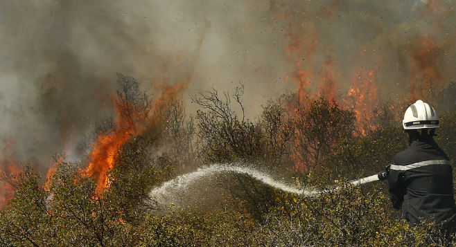  50 de hectare de livadă au ars la Uriu