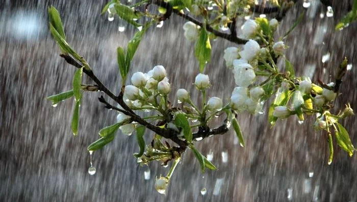  Primăvara capricioasă ține Bistrița-Năsăud sub nori: ploi slabe, răcire temporară și o revenire a temperaturilor de miercuri