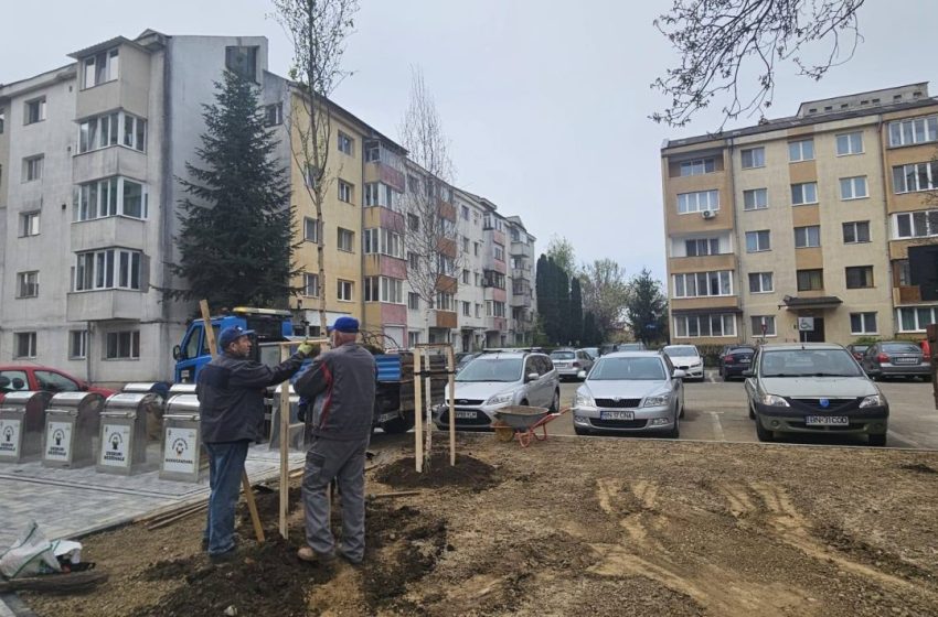  Lucrări programate săptămâna aceasta în municipiul Bistrița