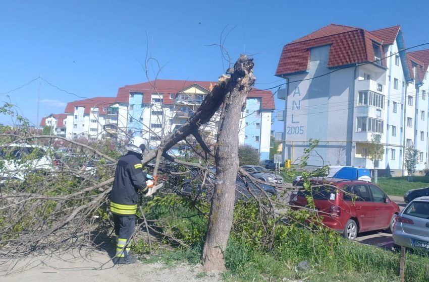  Intervenție rapidă în Subcetate: copac doborât de vânt, îndepărtat de pompierii voluntari bistrițeni