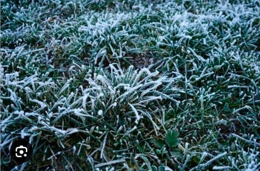  Ger de aprilie peste Bistrița-Năsăud: temperaturi de iarnă în plină primăvară