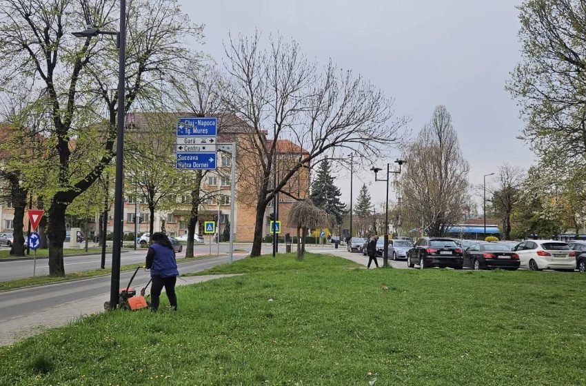  Primăria Bistrița continuă, în ritm susținut, lucrările de întreținere și amenajare a spațiilor verzi. FOTO