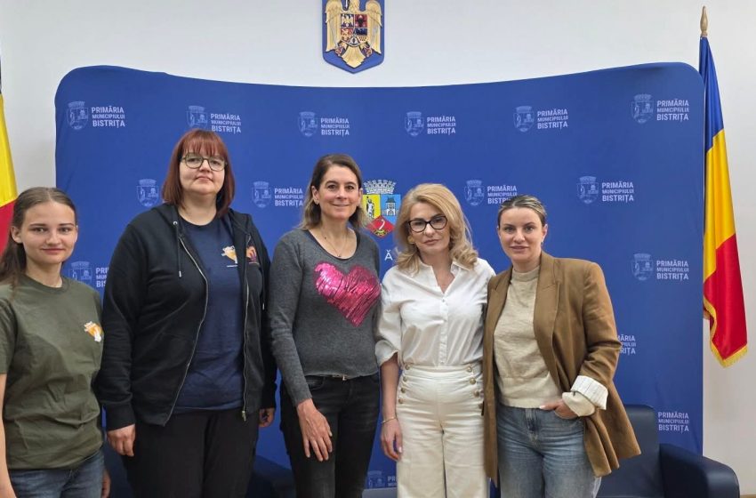  Parteneriat pentru suflete fără stăpân: soluții concrete pentru câinii din Bistrița