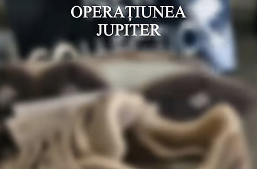  Percheziții în Bistrița într-un dosar de contrafacere: bunuri de 65.000 de lei, ridicate de polițiști. VIDEO