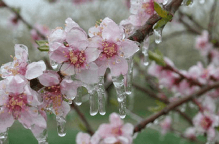  Temperaturi de iarnă în zeci de localități în această dimineață în județul Bistrița-Năsăud