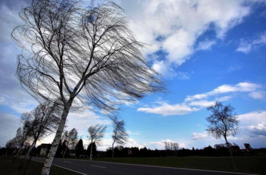  Cod Galben de vânt în Bistrița-Năsăud. Cum evoluează vremea în următoarele zile