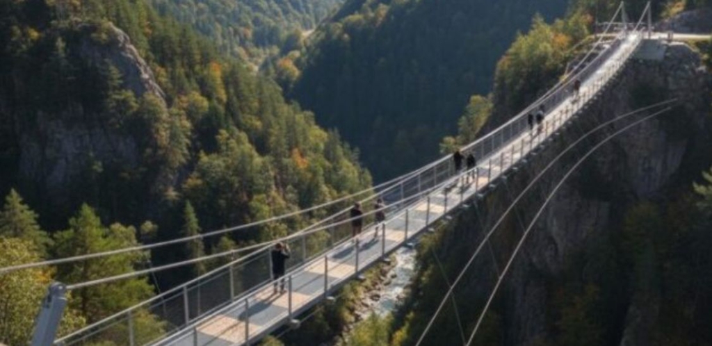  Podul suspendat  spectaculos de la Parva din Munții Rodnei, scos la licitație