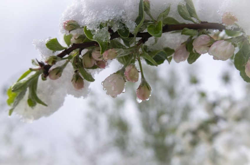  Atenționare Meteo: vânt puternic, ploi și ninsori la munte în următoarele zile