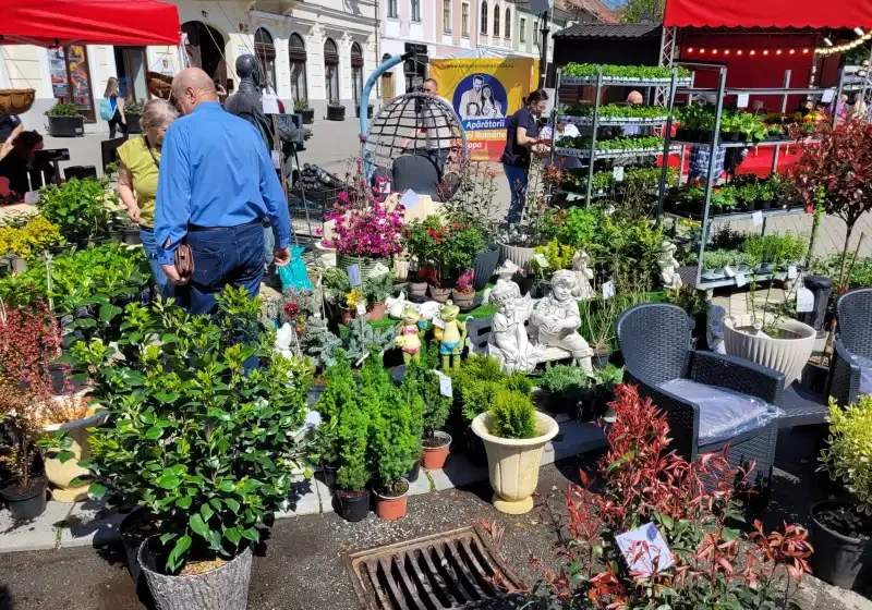  Grădină & Ambianță: 20 de expozanți din toată țara aduc primăvara pe Pietonalul din Bistrița