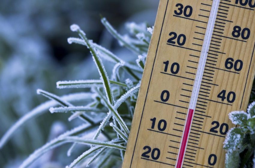  Val de frig peste județ: temperaturi aproape de 0°C și risc de brumă în mai multe zone