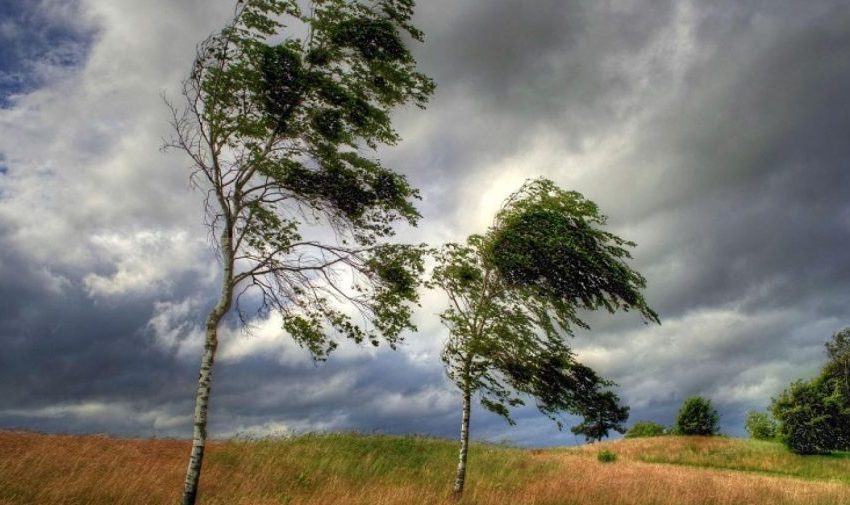  Cod galben de vânt puternic în Bistrița-Năsăud, pe parcursul zilei de vineri