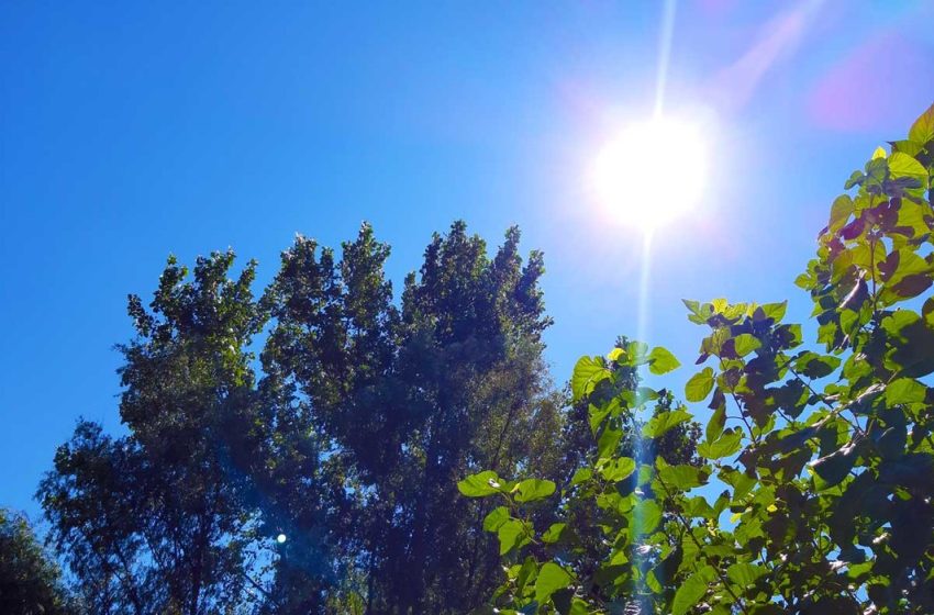  Se întorc ploile, dar weekendul aduce soare și temperaturi în creștere