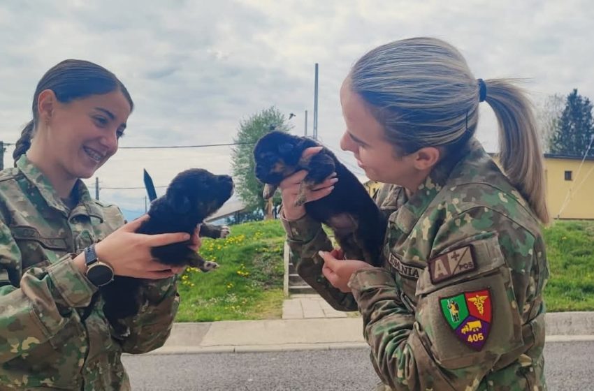  Militarii cu suflet: lecție de umanitate în mijlocul unui exercițiu al Brigăzii 81 Mecanizată „General Grigore Bălan”