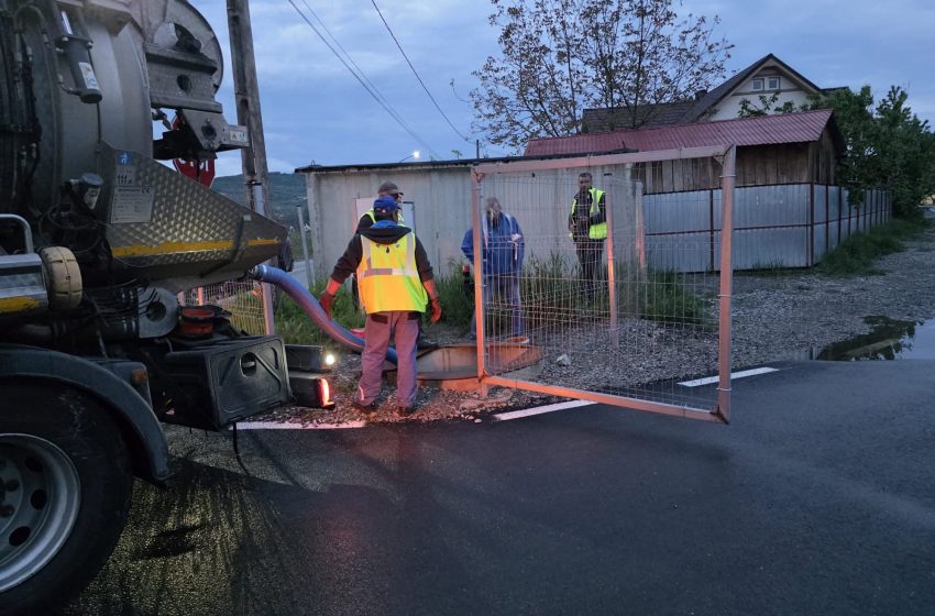  Ploaia a creat probleme în Bistrița: copac prăbușit pe carosabil și canalizări inundate
