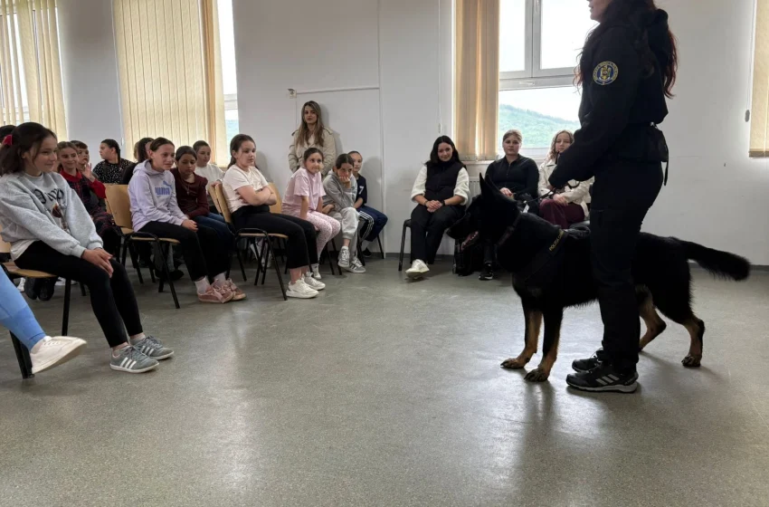  Patrula canină, în mijlocul elevilor din Căianu Mic. Acțiuni preventive desfășurate de polițiști în școli. FOTO