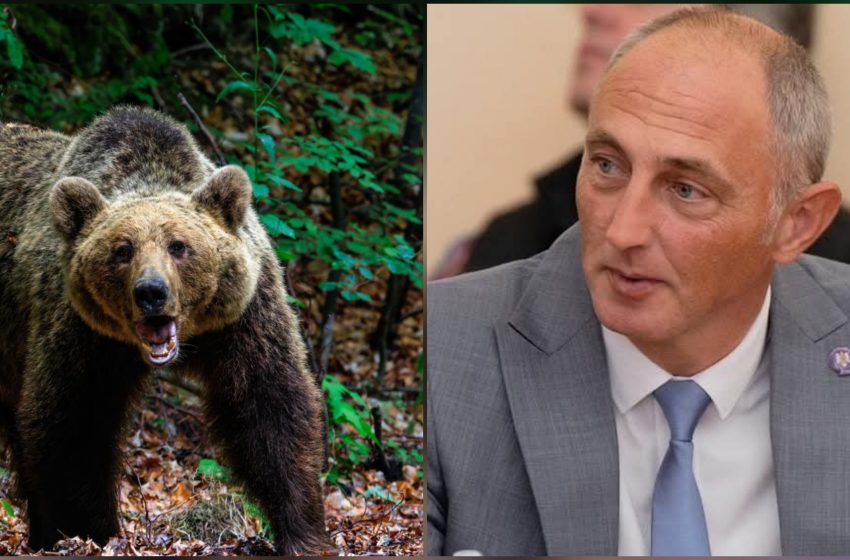  Subprefectul Decsei Atilla ia atitudine în cazul femeii ucise de urs de la Bichigiu