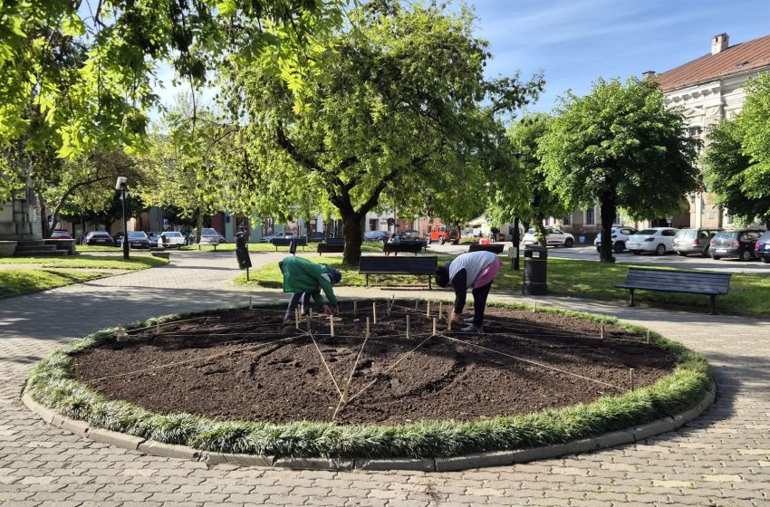  Parcări, asfaltări și lucrări de întreținere în tot orașul. Ce intervenții face Primăria Bistrița în această săptămână