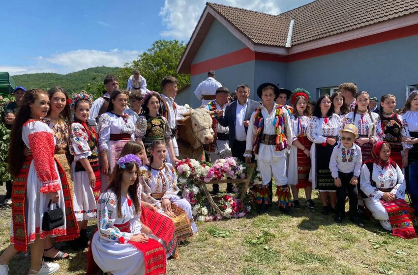  Împănatul Boului de la Figa, tradiție vie de Rusalii. Sute de oameni au celebrat unul dintre cele mai vechi obiceiuri ale satului românesc. FOTO
