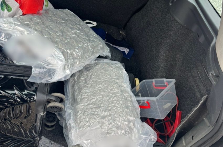  Captură importantă de droguri la Braniștea! Aproape 3 kilograme de canabis găsite de anchetatori