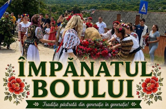  Împănatul Boului, tradiție agrară de sute de ani, readusă la viață la Figa de Rusalii