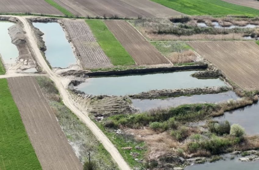  Amenzi usturătoare de 90000 de lei după controalele Gărzii de Mediu la Cociu: exploatare ilegală de balast și nereguli grave privind dejecțiile animale
