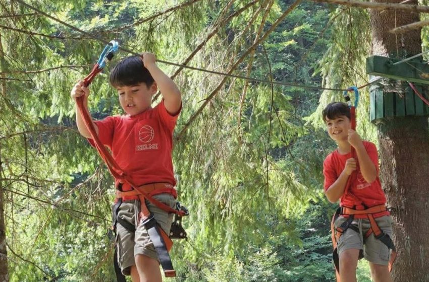  30% reducere de Ziua Copilului la Parcul de Aventură Parva! Distracție și aventură pentru cei mici