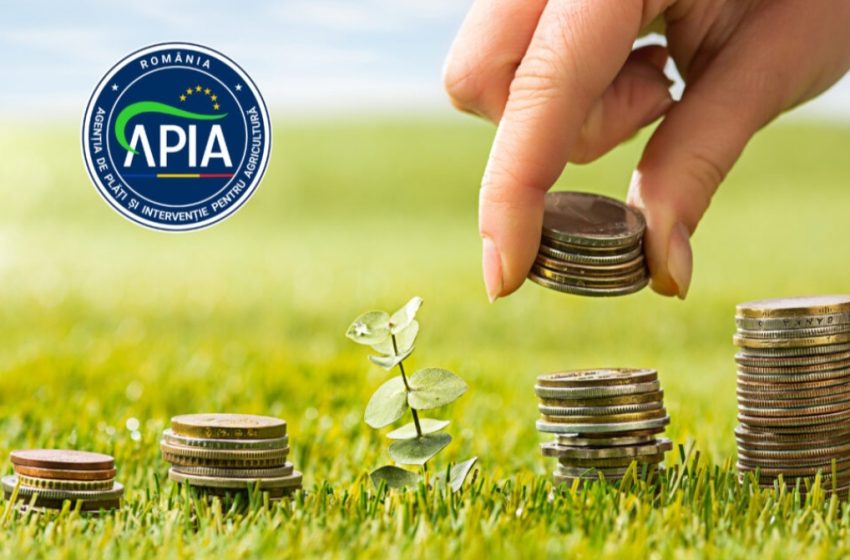  APIA începe plățile ANT pentru 2025: peste 180 de milioane de euro ajung la fermieri