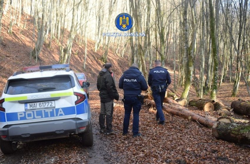  BISTRIȚA-NĂSĂUD: ACȚIUNI PENTRU PROTEJAREA FONDULUI FORESTIER