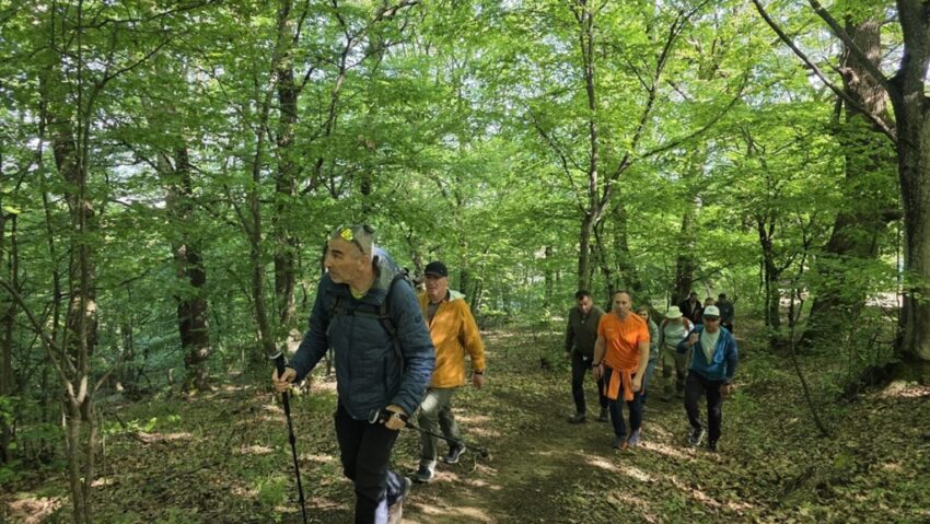  Bistrița-Năsăud, în topul național la împăduriri prin PNRR. Peste 250 de hectare de plantații noi. Au apărut, însă, primele blocaje financiare.