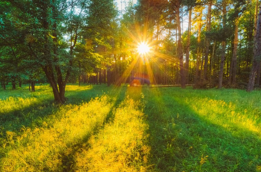  După ploile abundente, soarele revine în Bistrița-Năsăud. Temperaturi plăcute și vreme liniștită la început de săptămână