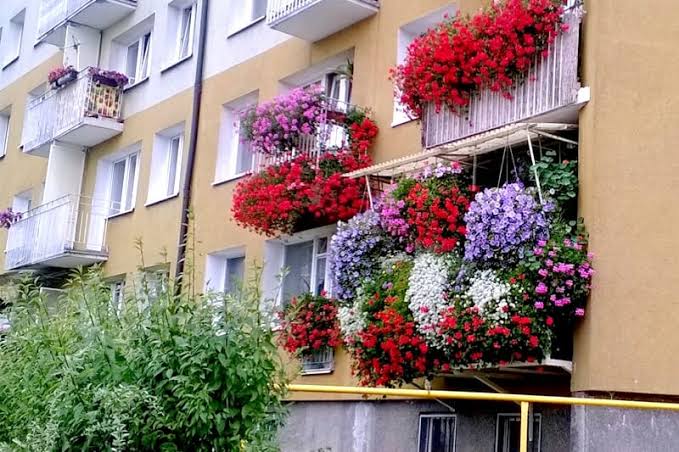  S-a dat startul concursului „Bistrița Verde” 2026. Premii pentru cele mai frumoase grădini și balcoane