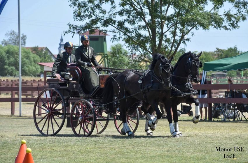  Performanță de excepție pentru Herghelia Beclean la Derby-ul Ungariei: locul IV în competiția de elită. FOTO