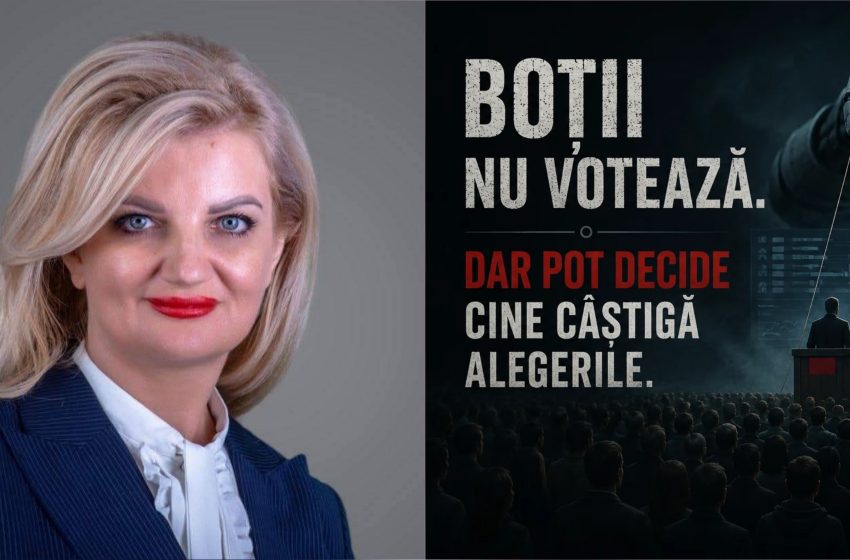  Diana Morar: Boții nu votează. Dar pot decide cine câștigă alegerile