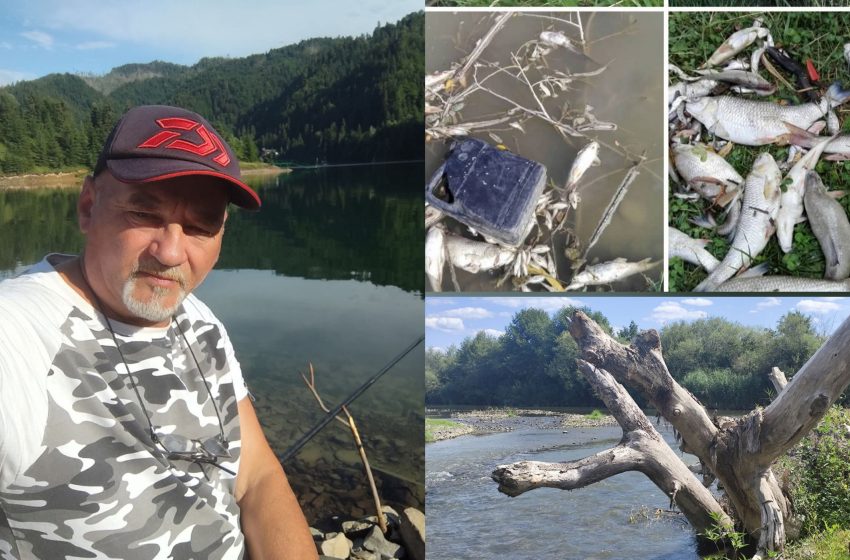  10 ani de la dezastrul ecologic de pe râul Șieu. Marius Rus: „Natura și-a recâștigat viața”