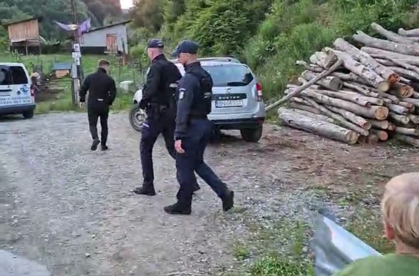  Ursoaică cu trei pui, semnalată la Bichigiu. Autoritățile au emis mesaj Ro-Alert