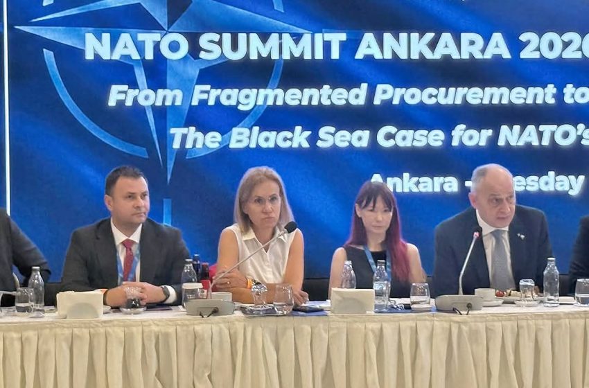  Deputatul Daniel Suciu participă la un summit NATO, la Ankara. FOTO/VIDEO