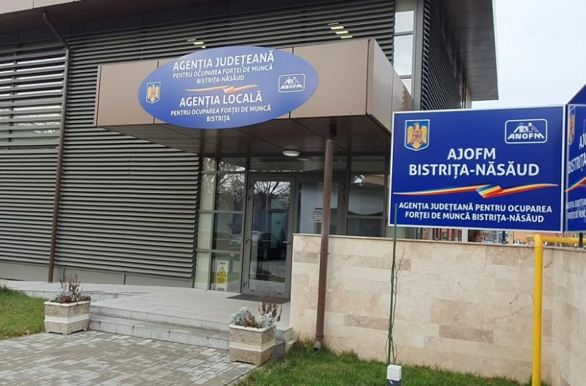 3,30% –  rata şomajului înregistrat în evidenţele AJOFM Bistriţa – Năsăud în luna iunie 2026