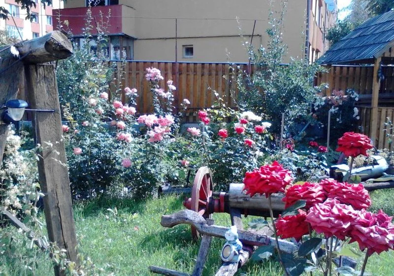  Înscrierile pentru  concursul „BISTRIȚA VERDE !” se apropie de sfârșit
