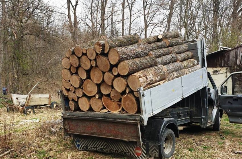  Peste 600 de metri cubi de lemn, confiscați de polițiști în Bistrița-Năsăud. 112 infracțiuni descoperite