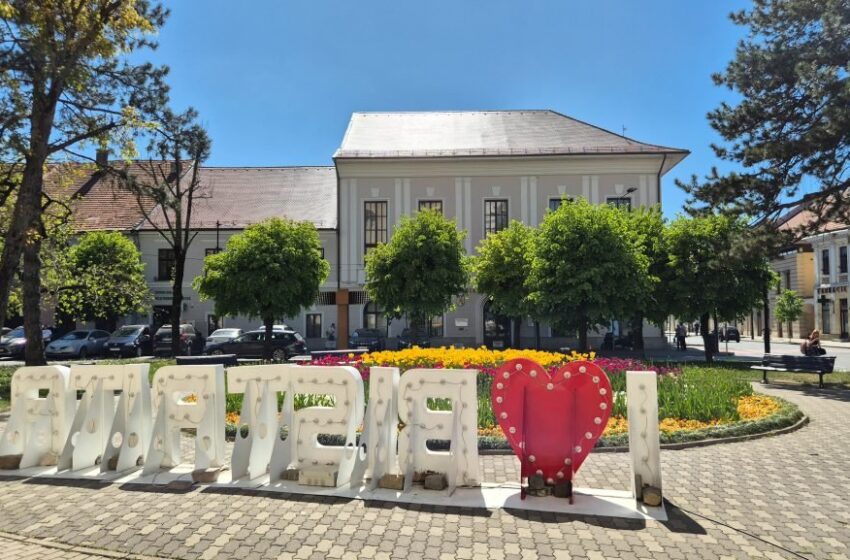  Burse de merit „NOSA” pentru studenții din Bistrița. Dosarele pot fi depuse până la 30 septembrie