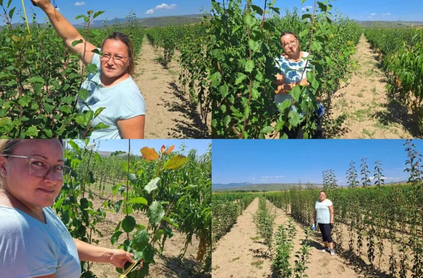  De la pasiunea pentru plante la o carieră în horticultură. Povestea Deliei Ersek, studentă la USAMV Cluj-Napoca și tehnician la Pepiniera Bața