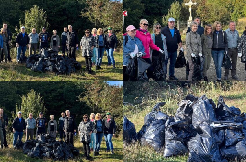  DJM Bistrița-Năsăud și Garda de Mediu, împreună pentru o Bistrița mai curată. Acțiune de ecologizare în zona Sigmir-Blăjeni. FOTO