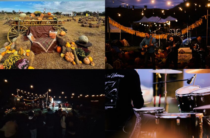  Festivalul Dovleacului nu este doar pentru copii! Trei seri cu muzică live, artiști și petrecere