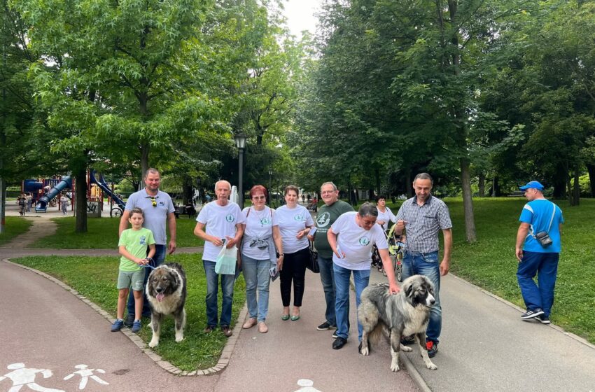  Protest cu lumânări pentru arborii din centrul Bistriței. PER se opune tăierii teilor și castanilor